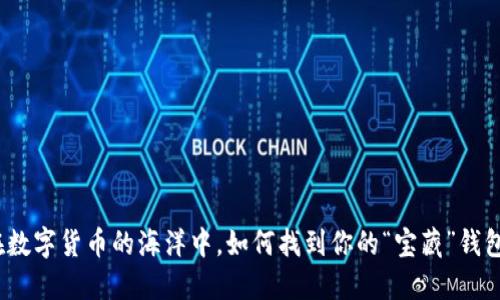 在数字货币的海洋中,如何找到你的“宝藏”钱包?