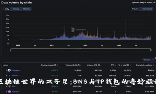 区块链世界的双子星:BNB与TP钱包的奇妙旅程