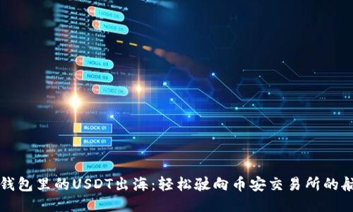 “TP钱包里的USDT出海：轻松驶向币安交易所的航程”