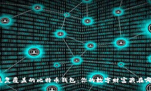 被反复覆盖的比特币钱包:你的数字财富藏在哪里?