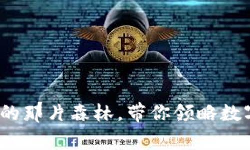 公鹿钱包：比特币的那片森林，带你领略数字货币的奇妙旅程