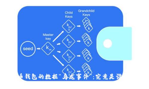 比特币钱包的数据“乌龙事件”：究竟是谁在捣乱？