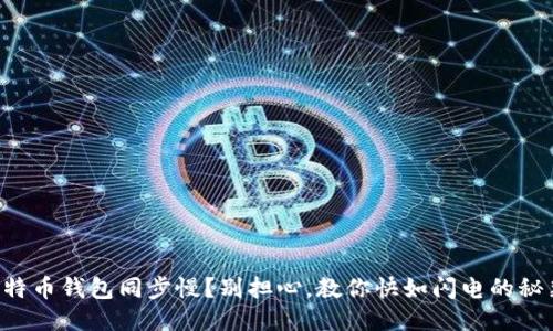 比特币钱包同步慢？别担心，教你快如闪电的秘籍！