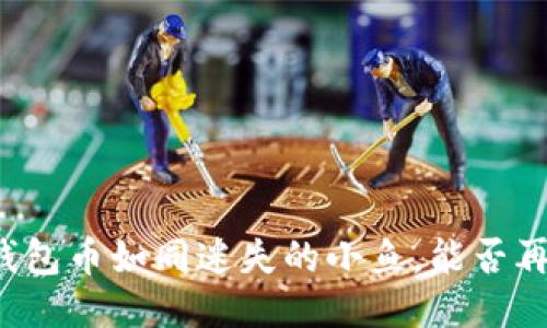 丢失的钱包币如同迷失的小鱼,能否再回大海?