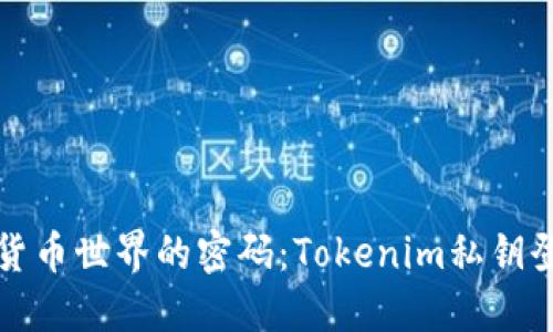 解锁数字货币世界的密码:Tokenim私钥登录全攻略