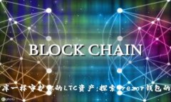 “像守住金库一样守护你的LTC资产：探