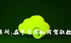 以太坊钱包交易所：在牛市中如何驾驭