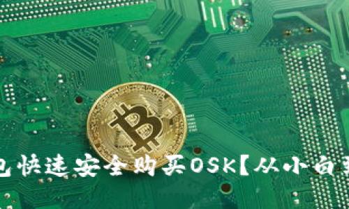 如何通过TP钱包快速安全购买OSK？从小白到高手的全攻略