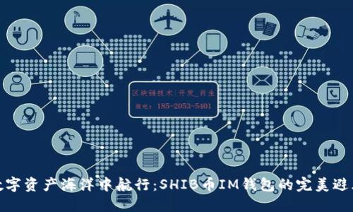 在数字资产海洋中航行:SHIB币IM钱包的完美避风港