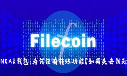 : 解锁NEAR钱包:为何没有转账功能?如同失去钥匙的宝箱