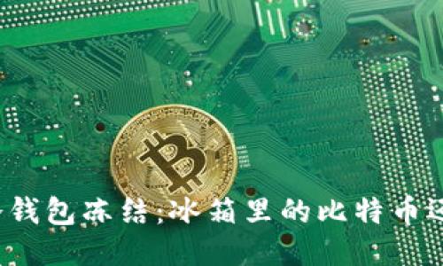 比特币冷钱包冻结:冰箱里的比特币还能动吗?