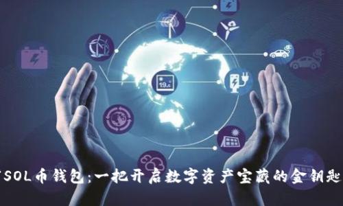 “SOL币钱包:一把开启数字资产宝藏的金钥匙”