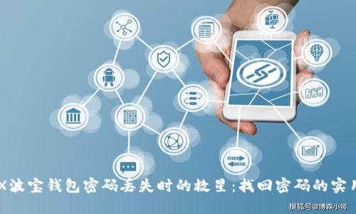 当TRX波宝钱包密码丢失时的救星：找回密码的实用指南