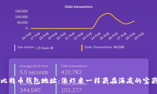比特币钱包地址:像虾米一样藏在海底的宝藏