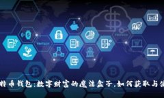 比特币钱包：数字财富的魔法盒子，如