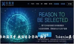 在数字货币的海洋中，找到适合你的“