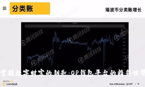 掌握数字财富的钥匙：OP钱包平台的精彩世界