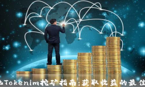 
YFI池Tokenim挖矿指南：获取收益的最佳策略
