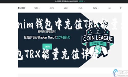 如何在Tokenim钱包中充值TRX能量：详细指南

Tokenim钱包TRX能量充值详解